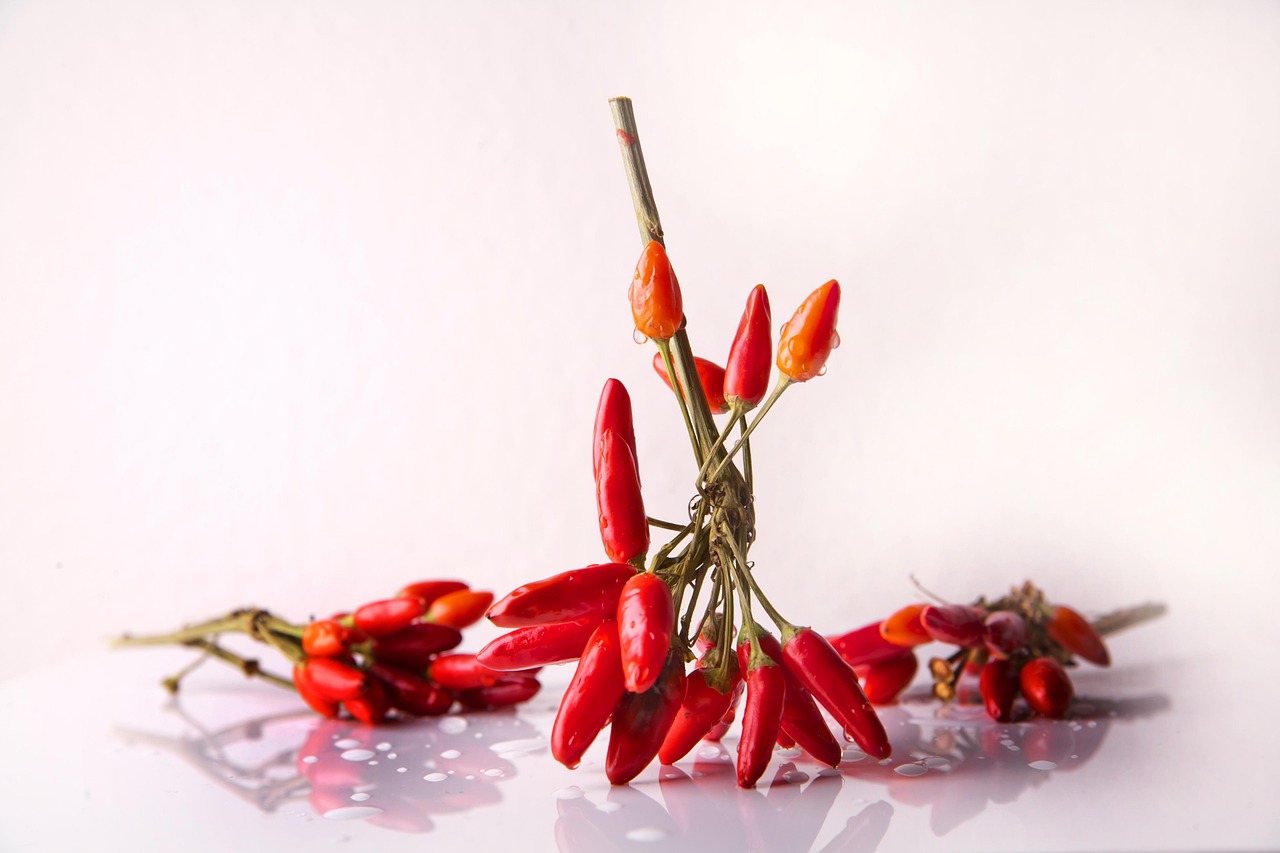 entdecken sie die vielfältige welt der gewürze! verleihen sie ihren gerichten mit unseren hochwertigen gewürzmischungen und aromatischen kräutern neuen geschmack. perfekt für jede küche!