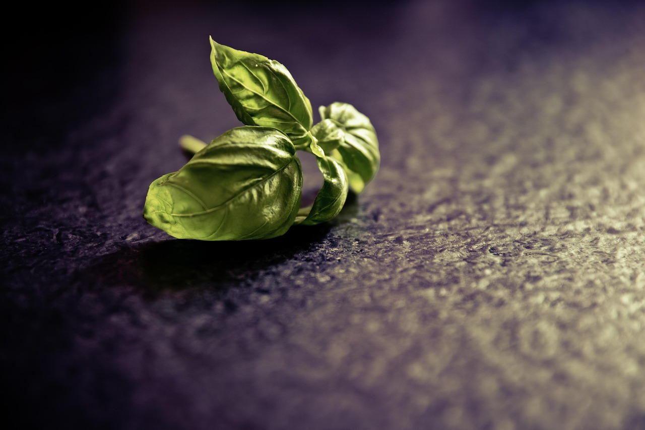 entdecken sie die vielfalt der gewürze und verleihen sie ihren gerichten das perfekte aroma! von klassischen kräutern bis hin zu exotischen mischungen - entdecken sie die geheimnisse des würzens.