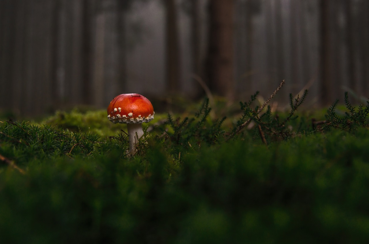 toxische positivität beschreibt die tendenz, negative gefühle zu unterdrücken und übertriebenen optimismus zu fördern. erfahren sie, wie diese denkweise beziehungen belasten und das persönliche wohlbefinden beeinträchtigen kann.