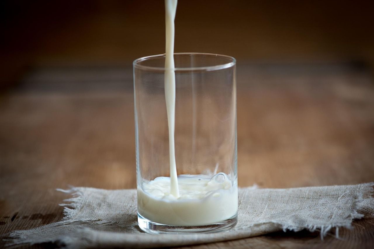 entdecken sie den prozess der milchgerinnung, der grundlage für die käseherstellung. erfahren sie, welche enzyme und faktoren beteiligt sind und wie sie die textur und den geschmack von milchprodukten beeinflussen.