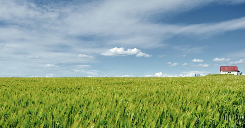 Farbkontraste richtig einsetzen: So wirkst du mit starken Gegensätzen