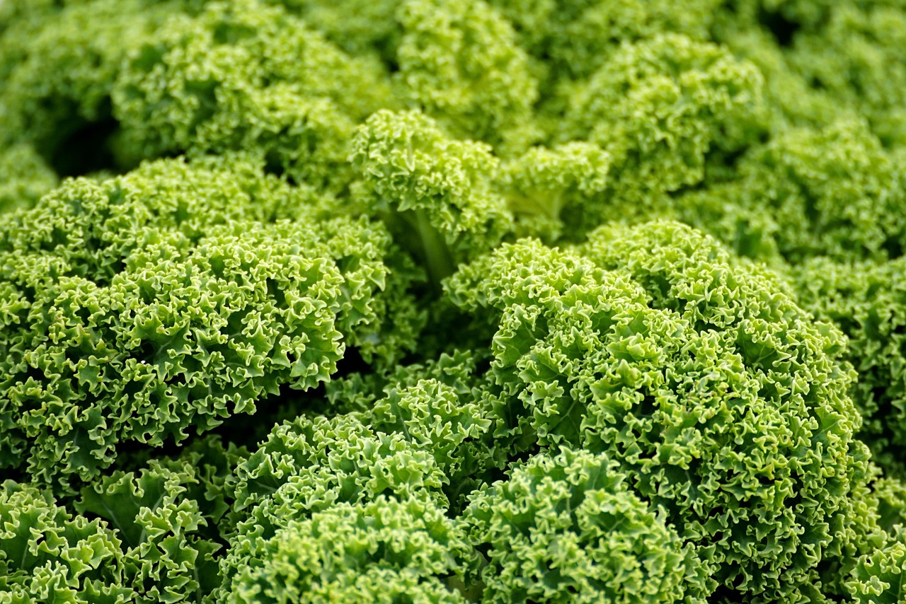 Warum boomt der Markt für vegane Produkte?
