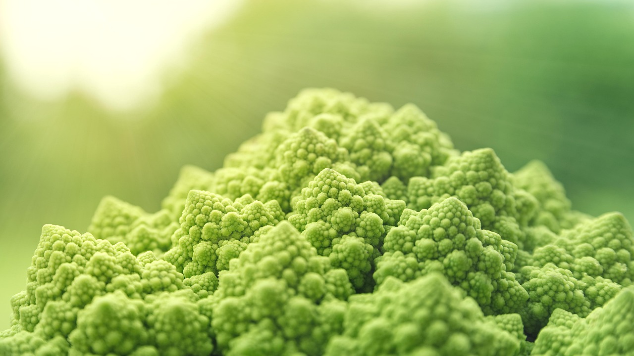 entdecken sie vegane produkte: hochwertige, nachhaltige und rein pflanzliche alternativen für ernährung, pflege und alltag. perfekt für einen bewussten, tierfreien lebensstil!
